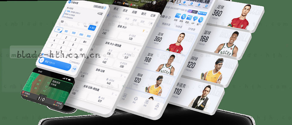 隐私政策与用户权益说明